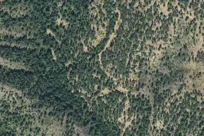 Camp site