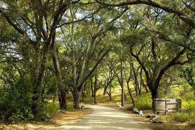 Cerro Alto Campground