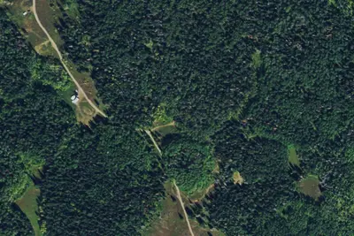 Camp site
