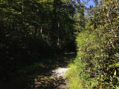 2014-08-25 10 56 34 View southwest along the Appalachian Trail about 11.3 miles northeast of the Delaware Water Gap in the Delaware Water Gap National Recreation Area, New Jersey