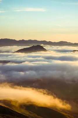 Cuesta Ridge Botanical Special Interest Area, Santa Margarita, United States (Unsplash)