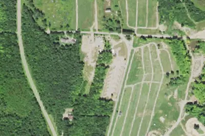 Holly Wood Hill