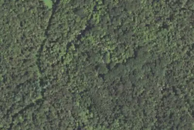 Camp site