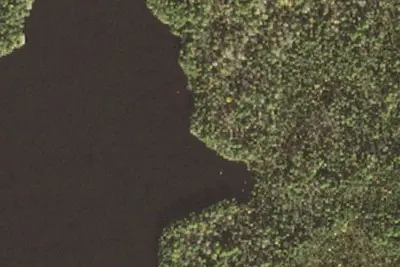 Camp site