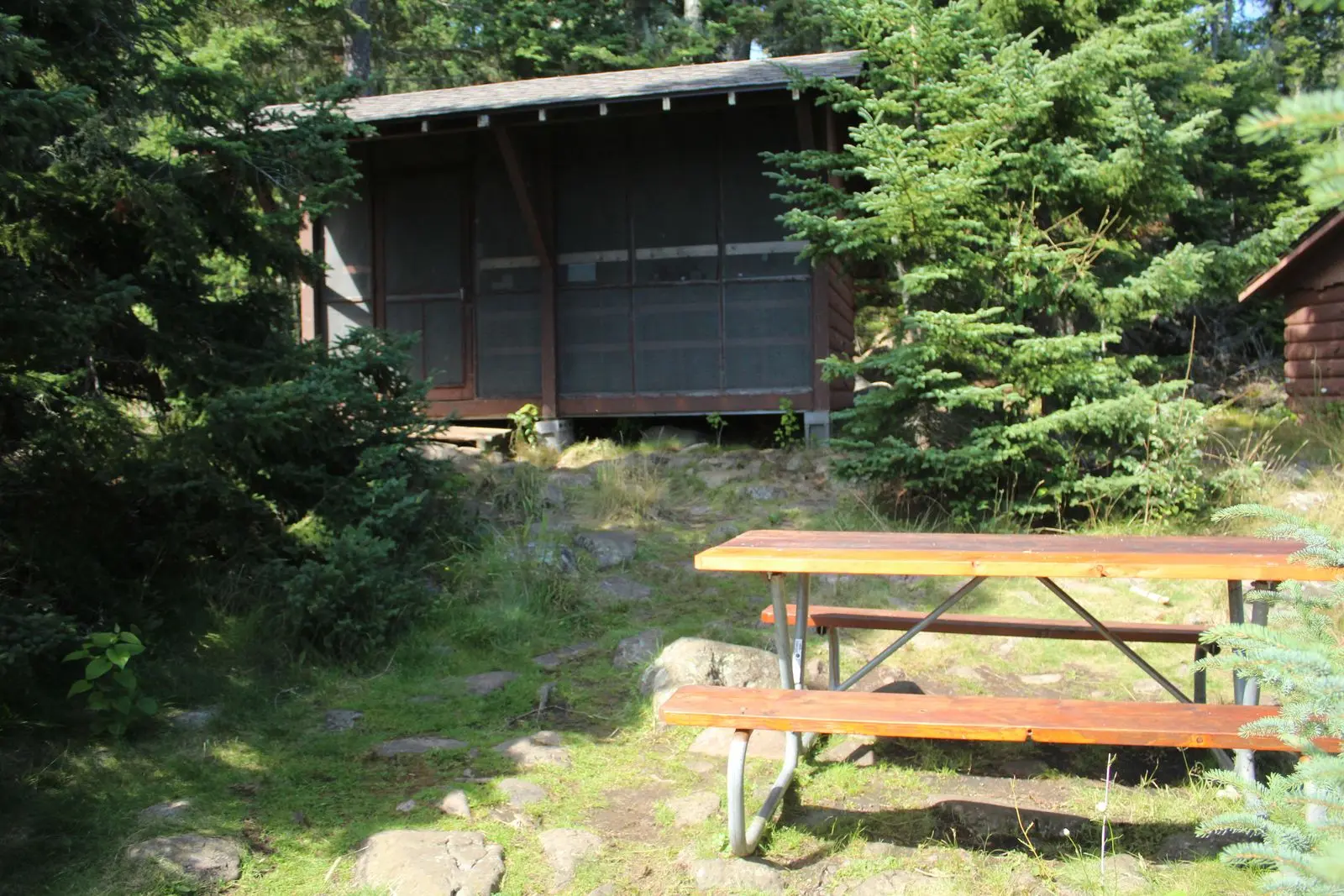 Three Mile Campground Shelter Site #11