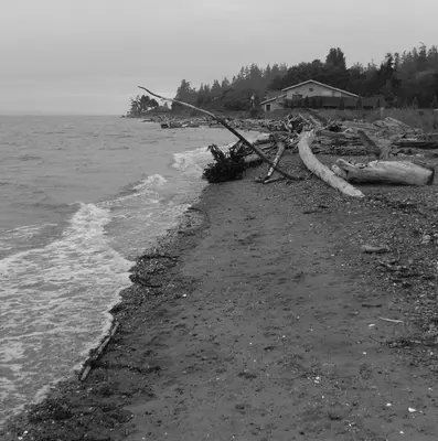 High tide - panoramio