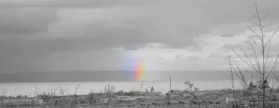 Wrong side of the sound - panoramio
