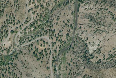 Camp site