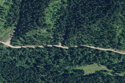 Rd 437 Site 9