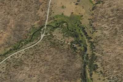 Sandhill Crossing Campground