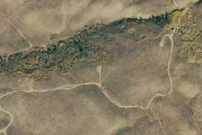 Camp site