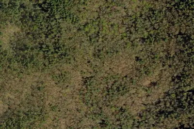 Camp site