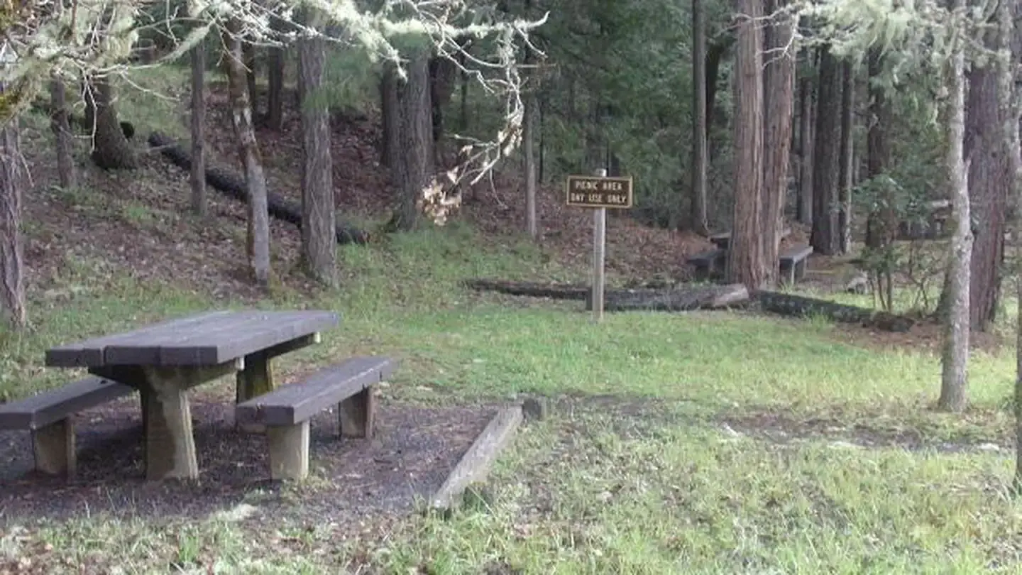 Picnic Area 2