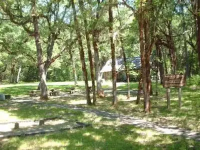Packard Creek