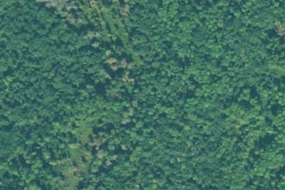 Yankee Paradise