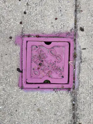 Reclaimed water maintenance hole cover in Indian Rocks Beach