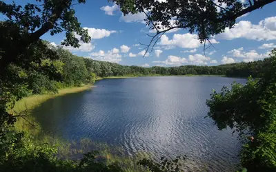 Signalness Lake