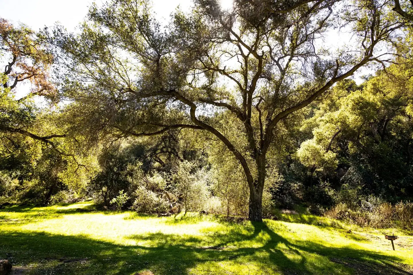 Fremont Campground