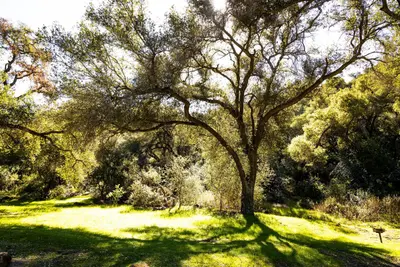 Fremont Campground