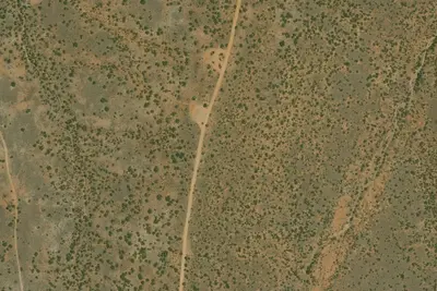 U.S. Fish and Wildlife Service Site 41