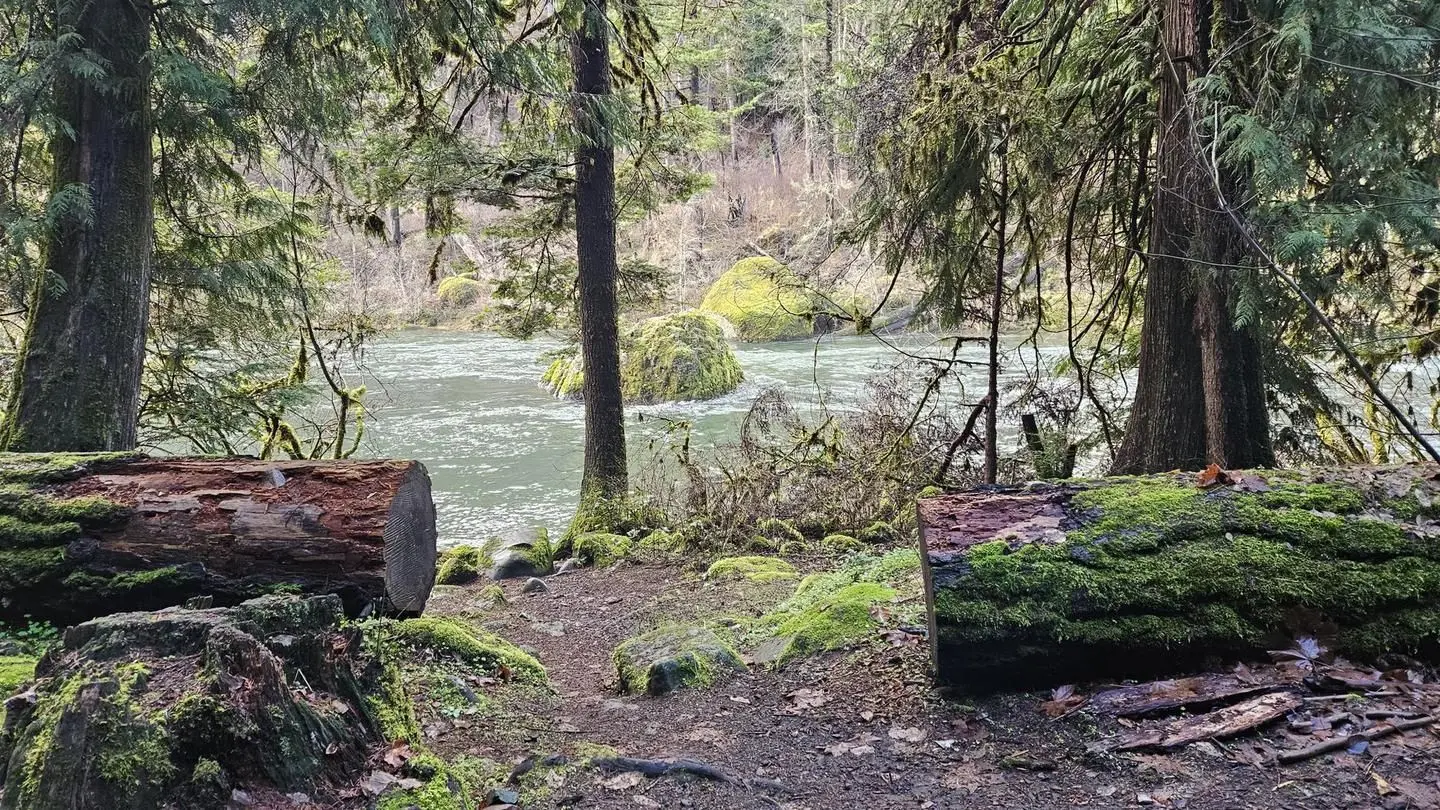North Umpqua River at Boulder Flat Campground
