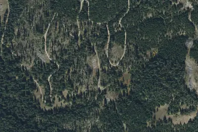 Ash Mtn Road-015
