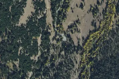 Cottonwood03