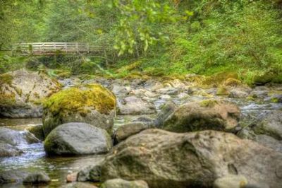 North Fork Beaver Group Camp