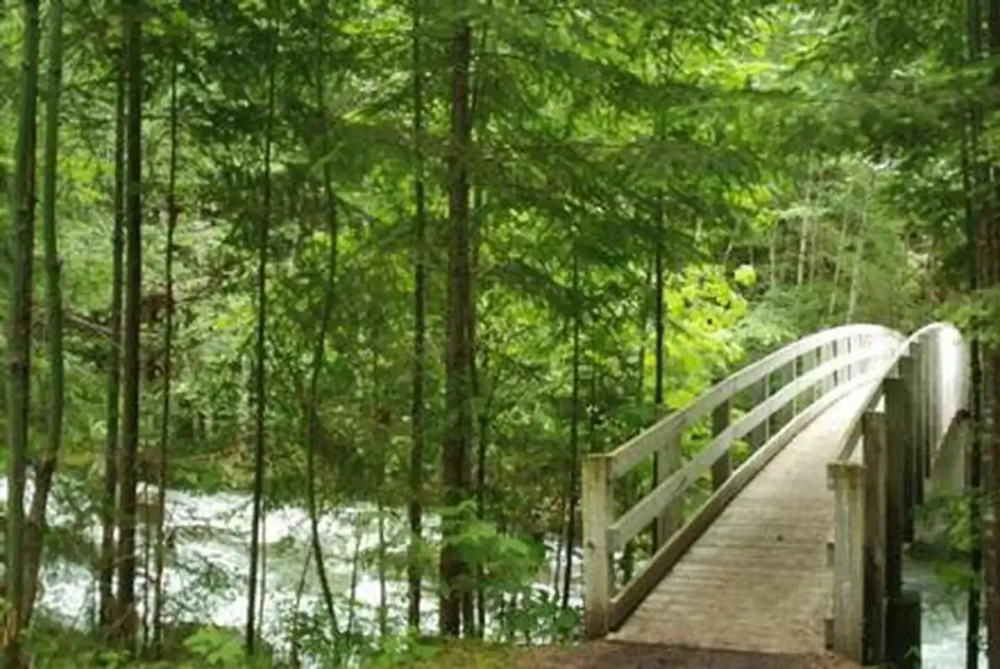 North Fork Beaver Group Camp