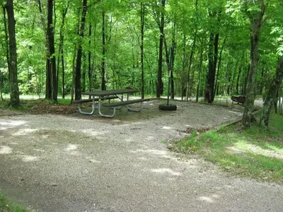 Coon Creek Camping