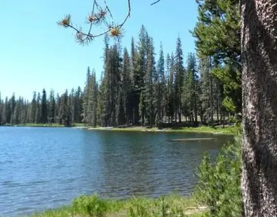 Summit Lake area