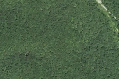 Camp site