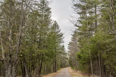 Forest Trail at Jay Cooke State Park, Minnesota (44100813921)