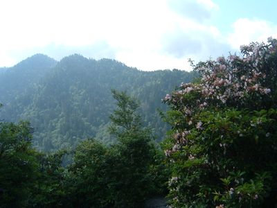 Balsam Mt. Campground