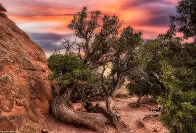 Arches National Park (Moab, Utah) (50145808478)