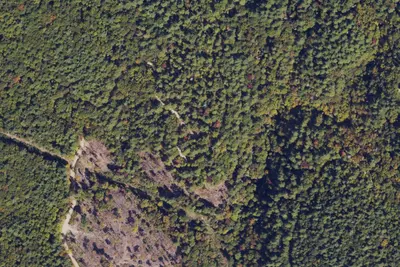 Camp site (US Forest Service)