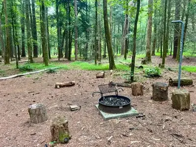 Campsites at Basin Cove Backcountry Camping