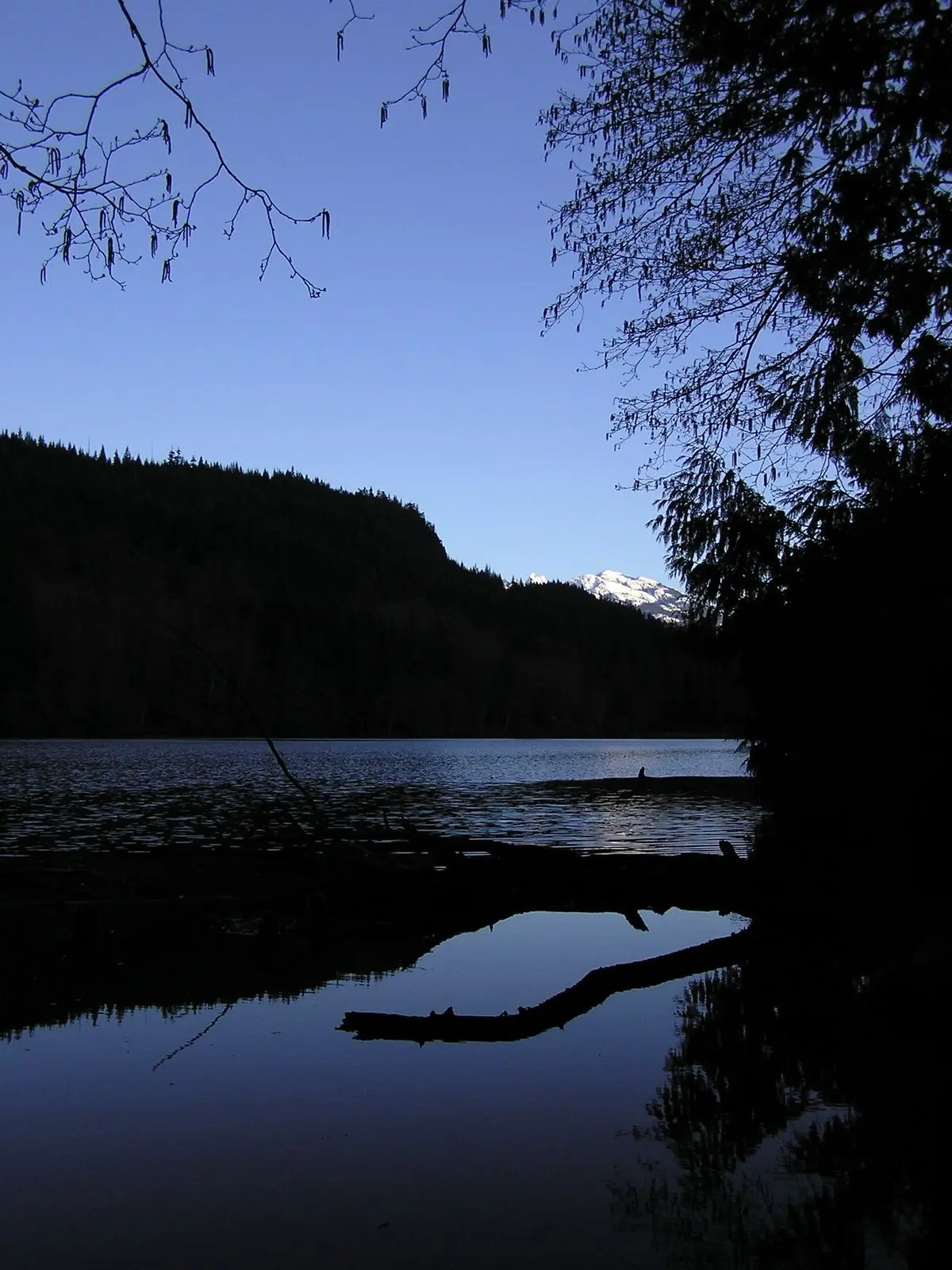 Photo of Alice Lake Park