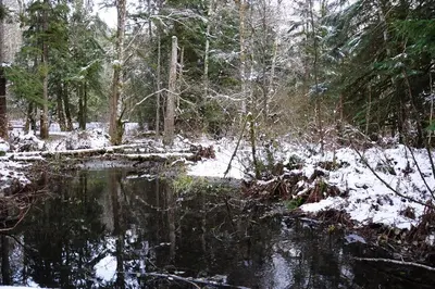 K Alice Lk - panoramio