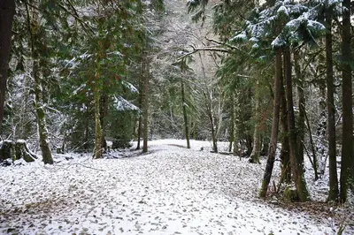 Pri Alice Lk - panoramio