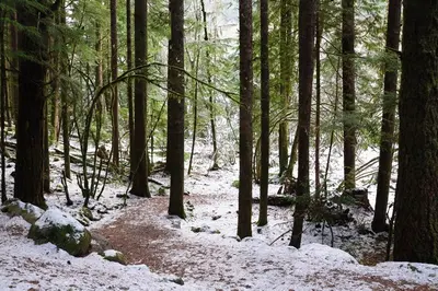 Camp Alice Lk - panoramio