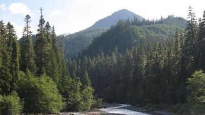 The Dalles