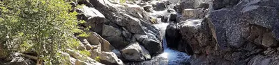 North Fork (Ca)