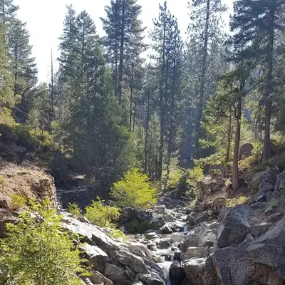 Falls
