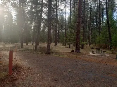 Loop A , Site 16