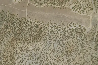 Camp site