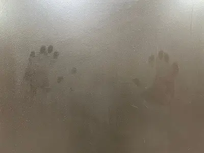 Handprints at the Grand Island Rest Area Eastbound