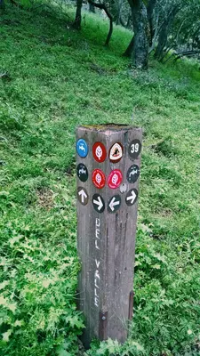 Ohlone wilderness trail - del valle - panoramio (1)