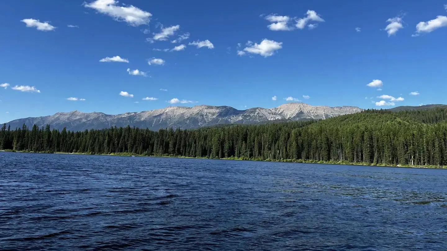 A photo of Lake Alva on a sunny day. The water and skies are bright blue, and trees and the swan range can be seen in the background.