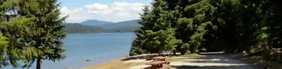 Photo of Pine Point Campground (Timothy Lake, OR)